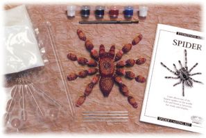 Earth Works Insect Kits