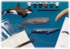 Earth Works Ocean Life Kits