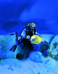 Scuba Diver Action Figure