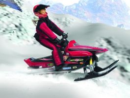 Wild Ones Adventure Crew -  Snowmobiler (Red Dogg)