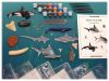 Classroom Eyewitness Ocean Life Kit