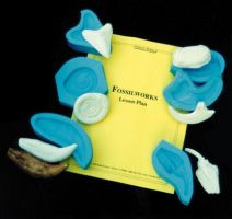 Classroom Fossilworks Kit